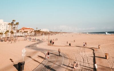 Why Regular Backups Are Essential for WordPress Sites